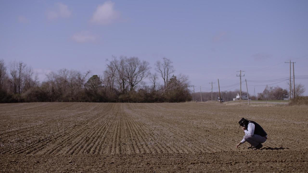 Farming