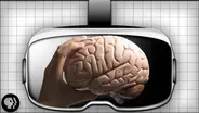 Your Brain In Virtual Reality