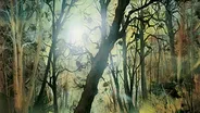 Golden Rays of Sunlight