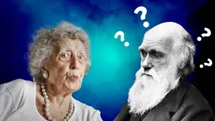 Why Your Grandma Is an Evolutionary Mystery