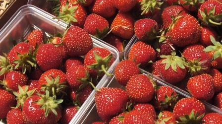 Video thumbnail: Postcards Strawberries, Fish Paintings and Luthier