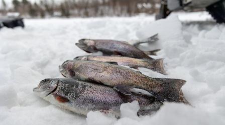 Video thumbnail: Prairie Sportsman Coldwater Trout