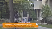 What's Next After Supreme Court Ruling on Affirmative Action