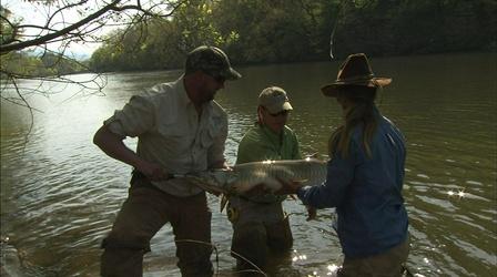 Video thumbnail: Carolina Outdoor Journal Muskie Search