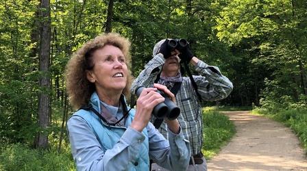 Video thumbnail: Chicago Tonight Bird Monitoring in Captain Daniel Wright Woods