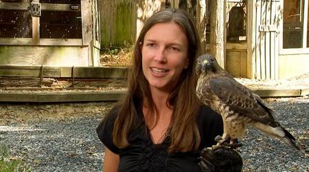 Video thumbnail: Charlottesville Inside-Out The Wildlife Center of Virginia