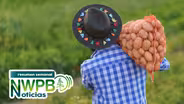 Inmigración y cosecha: Agricultores dicen depender más del programa H-2A - septiembre 12 de 2025