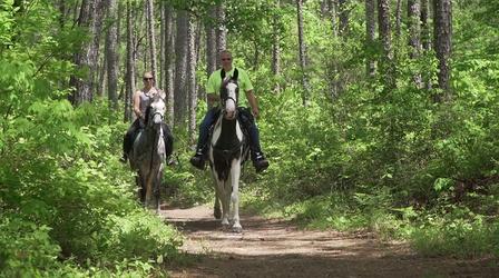 Video thumbnail: North Carolina Weekend Croatan National Forest