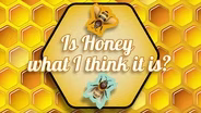 Spoiler alert: honey is NOT bee vomit!