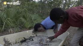 Sapelo | Black Brotherhood: asset-mezzanine-16x9