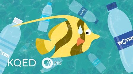 Video thumbnail: Above The Noise Would Banning Plastic Bottles Help or Hurt the Planet?
