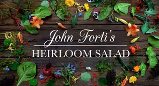 John Forti’s Heirloom Salad