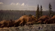 When Dinosaurs Ruled the Arctic Circle