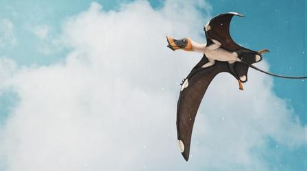 Video thumbnail: Eons How Pterosaurs Got Their Wings