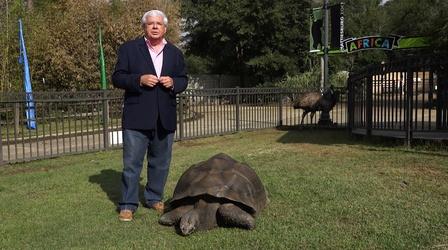 Video thumbnail: Mississippi Roads Caring for the Animals