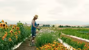 Arvada artist turns plants into paints
