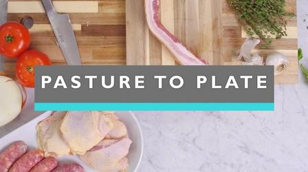 Video thumbnail: Feast TV Pasture to Plate