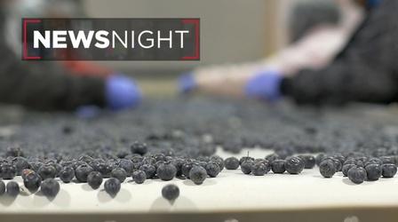 Video thumbnail: NewsNight Challenges facing Central Florida's economy