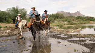 Cabalgata de San Javier: A Californio Tradition