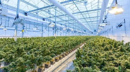 Video thumbnail: New Mexico In Focus Cannabis Comes to NM & Historical Astronomy | 7.2.21
