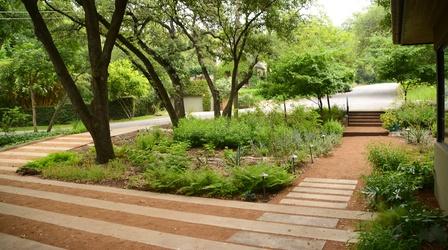 Video thumbnail: Central Texas Gardener Rethinking Landscapes in Weather Challenges