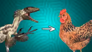 How Feathered Dinosaurs Accidentally Invented Flight