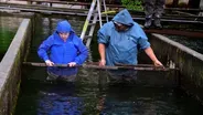 Field Trip to Sunburst Trout Farms