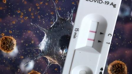 How Long Does Covid-19 Immunity Last?