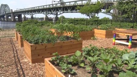 Public community garden opens in Burlington County
