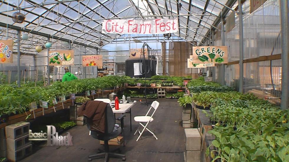 Strategies to Reduce Food Deserts image