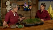 Sustainable Turf Care