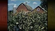Found Footage - "Modern" Minnesota Agriculture