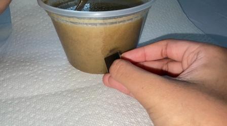 Video thumbnail: WFSU Education At-Home Activity: Finding Iron in Your Food
