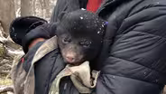 Bear Cub Check Up