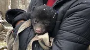 Bear Cub Check Up