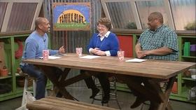 Video thumbnail: The Family Plot Cabbage, Broccoli and Cauliflower & Landscape Tree Options