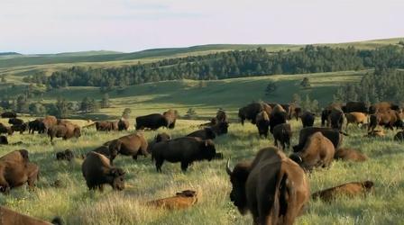 Video thumbnail: South Dakota Focus SD Focus: Camping in Custer State Park