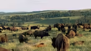SD Focus: Camping in Custer State Park