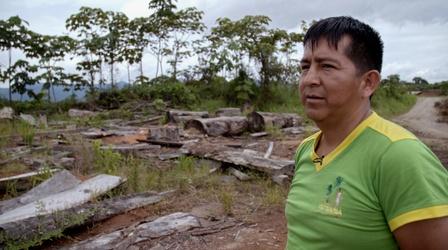 Video thumbnail: Earth Focus Illegal Gold Mining Destroys Native Kotsimba Land in Peru