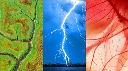 Video thumbnail: Be Smart Why trees look like rivers and also blood vessels and also lightning…