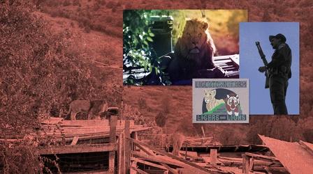 Video thumbnail: Idaho Experience Ligertown