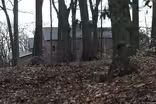 Reports suggest U.S. considering returning Russian compounds