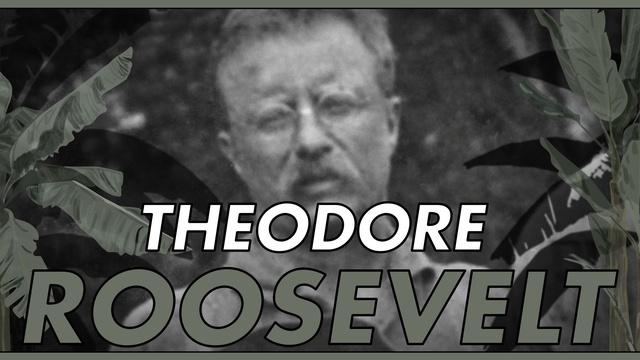 Into the Amazon: Theodore Roosevelt