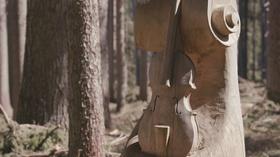 Video thumbnail: PBS NewsHour The fight to save an Italian forest prized by Stradivari