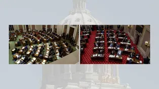 Legislative Action on Fraud