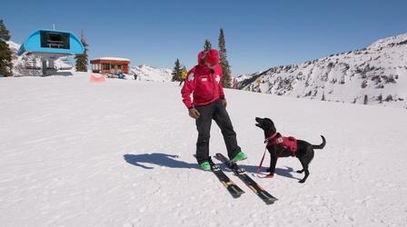 Video thumbnail: This Is Utah Go Dog Go