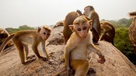 Episode 2 Preview | Testing Limits: asset-mezzanine-16x9