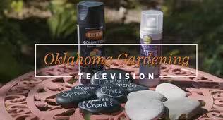 Oklahoma Gardening October 19, 2024