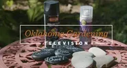 Oklahoma Gardening October 19, 2024