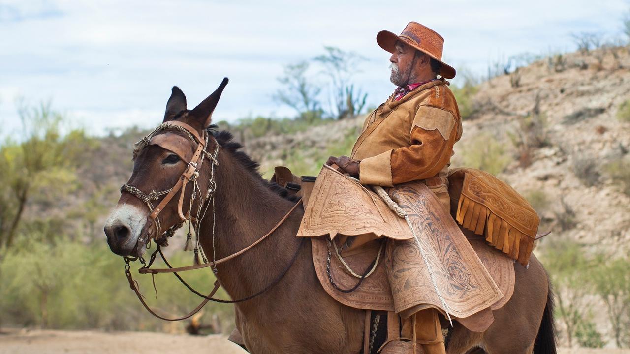La Recua: The Mule Pack Train